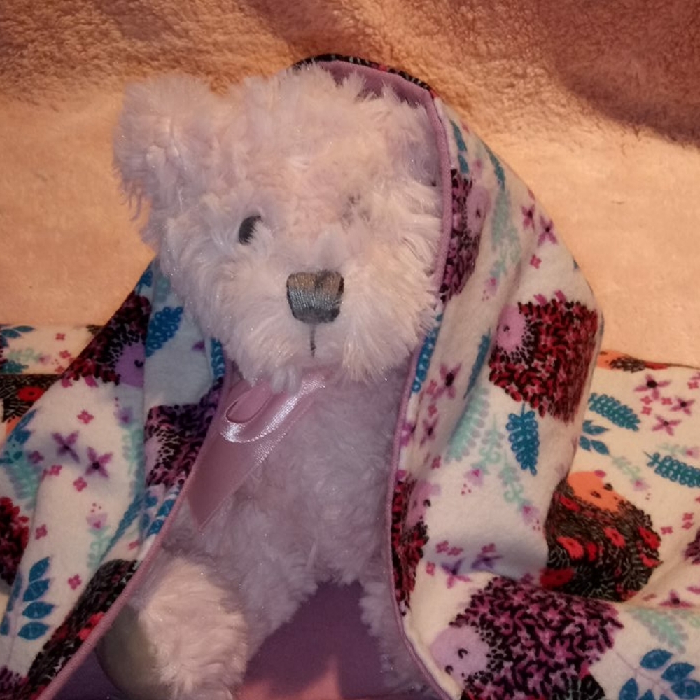 Homemade Hedgehog Purple Baby Blanket